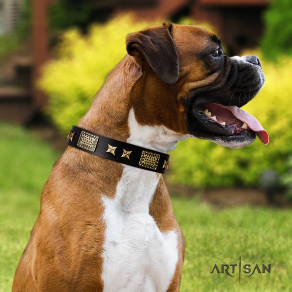 Boxer full grain natural leather collar with rust-proof traditional buckle