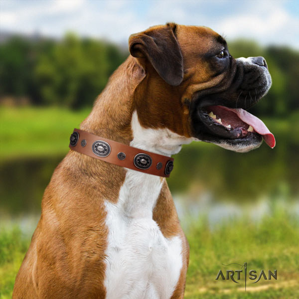 Boxer full grain natural leather collar with corrosion resistant buckle