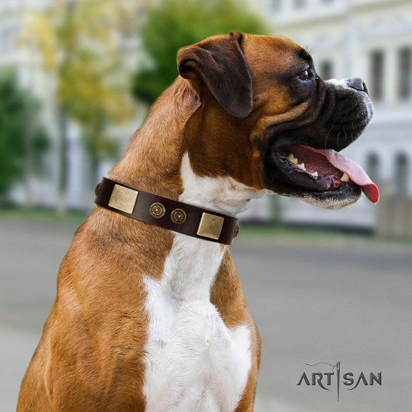Boxer full grain genuine leather collar with corrosion proof hardware for daily use