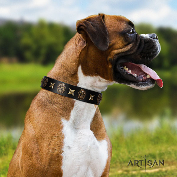 Boxer full grain leather collar with strong traditional buckle for walking