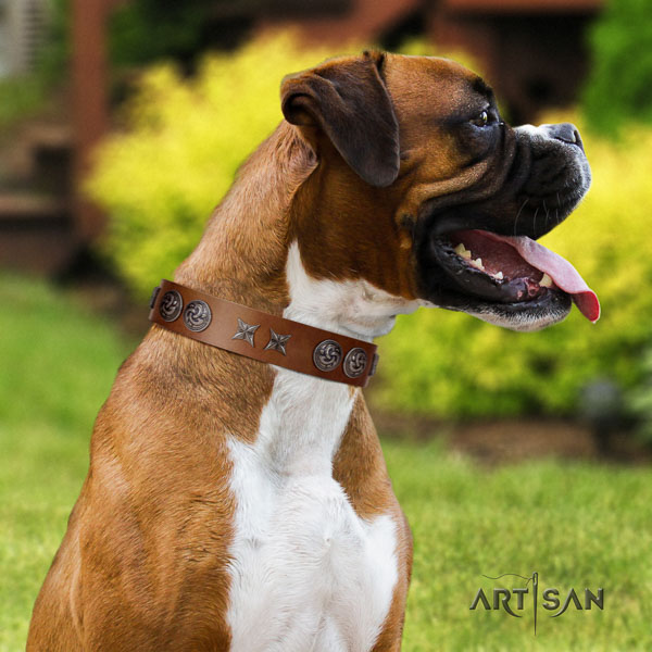 Boxer awesome full grain natural leather dog collar with decorations