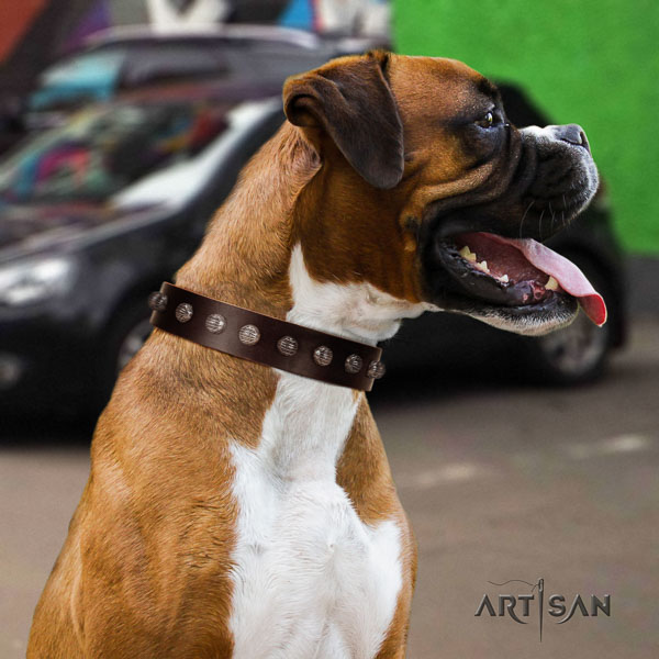 Boxer fine quality full grain leather dog collar with decorations