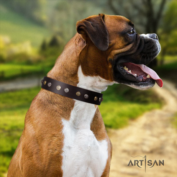 Boxer full grain natural leather collar with corrosion proof hardware