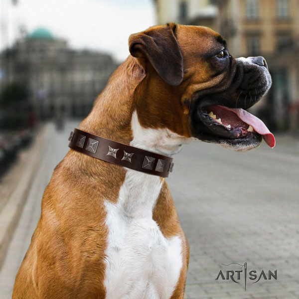 Boxer inimitable full grain leather dog collar with adornments