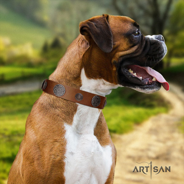 Boxer full grain natural leather dog collar for daily walking