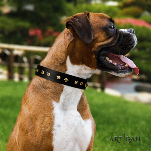 Boxer genuine leather collar with strong fittings