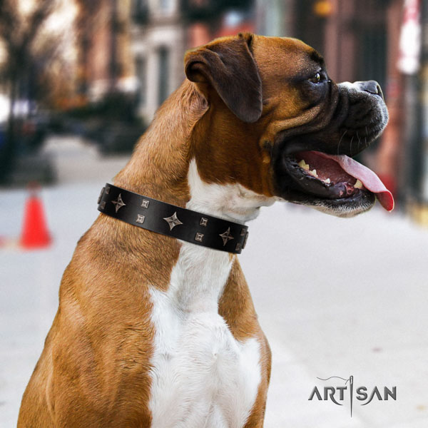 Boxer full grain genuine leather dog collar for stylish walking