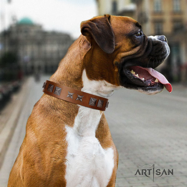Boxer comfortable full grain genuine leather dog collar with adornments