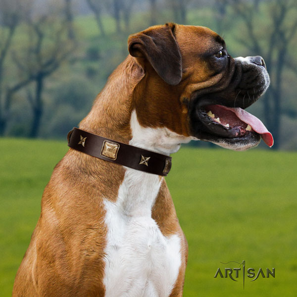 Boxer full grain genuine leather collar with reliable fittings for handy use