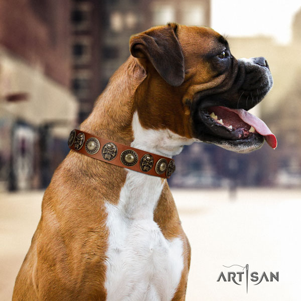 Boxer natural genuine leather collar with reliable traditional buckle for basic training