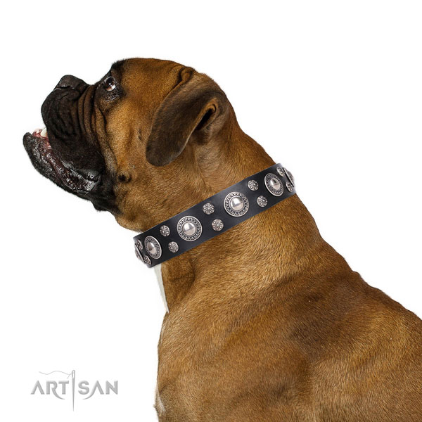 Boxer stylish genuine leather dog collar for comfy wearing