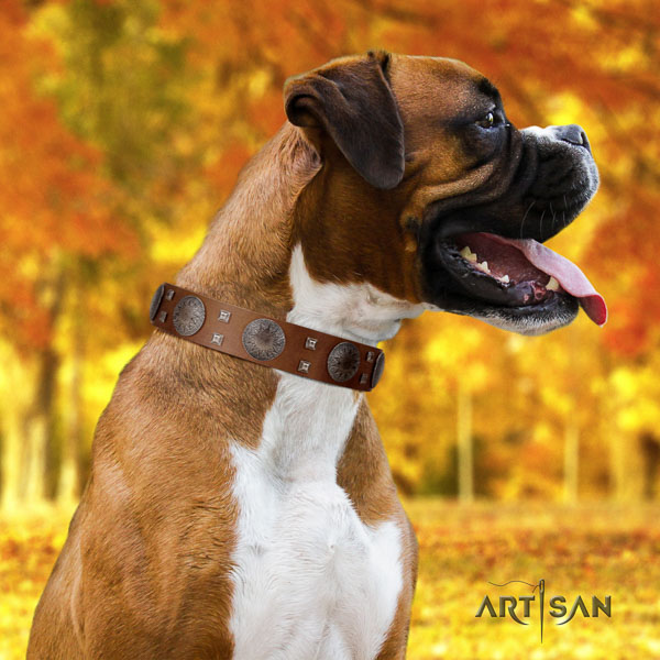 Boxer easy wearing full grain genuine leather dog collar with adornments