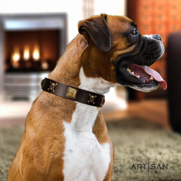Boxer full grain leather collar with strong buckle for easy wearing