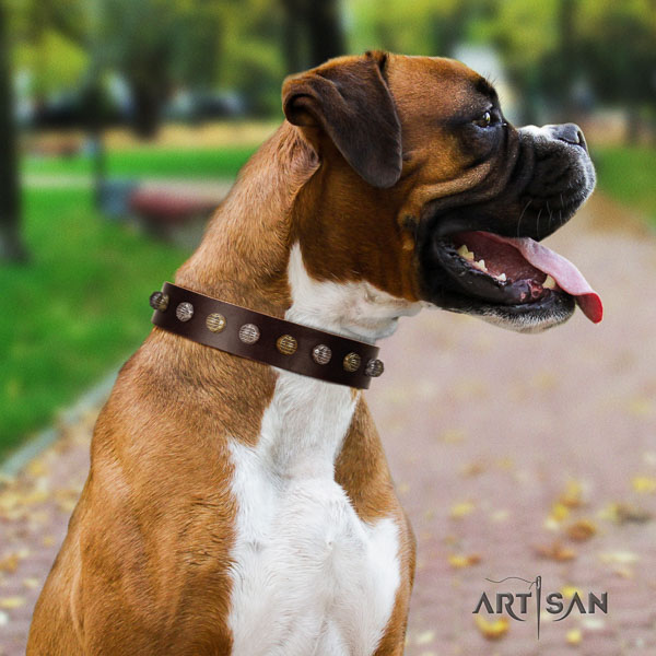 Boxer full grain genuine leather dog collar for comfortable wearing