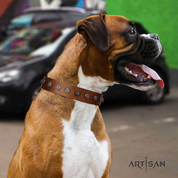 Boxer top quality natural genuine leather dog collar with embellishments