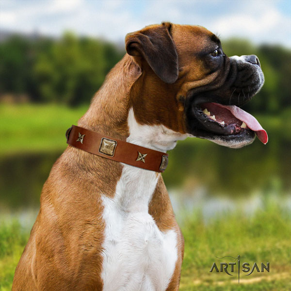 Boxer full grain leather collar with reliable D-ring for comfy wearing