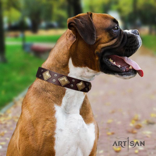 Boxer full grain genuine leather collar with durable hardware