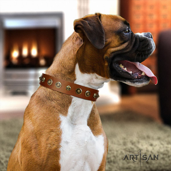 Boxer natural genuine leather collar with rust resistant traditional buckle for easy wearing