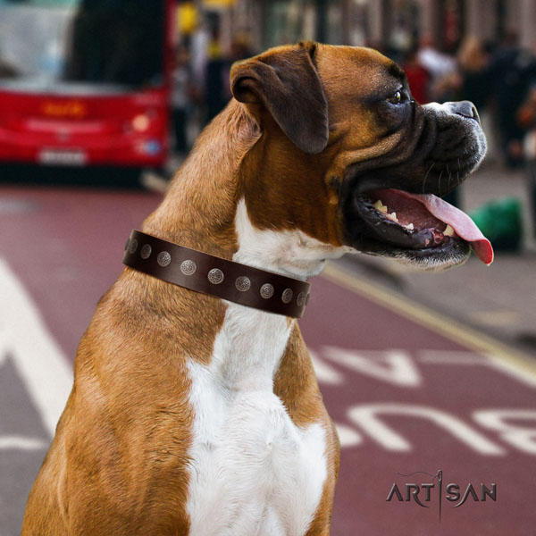 Boxer extraordinary full grain leather dog collar with studs