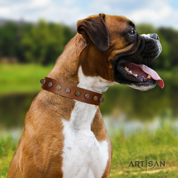 Boxer full grain genuine leather dog collar for handy use
