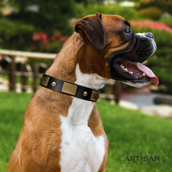 Boxer genuine leather collar with reliable D-ring for easy wearing