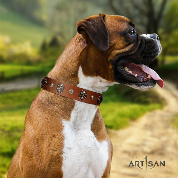 Boxer genuine leather collar with rust resistant hardware for daily use
