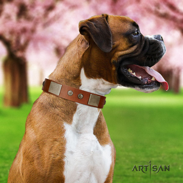 Boxer full grain leather collar with rust resistant hardware for comfy wearing