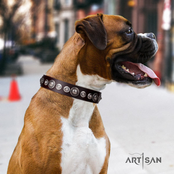 Boxer leather collar with rust-proof D-ring