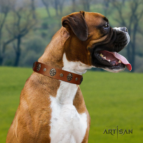 Boxer full grain natural leather collar with reliable D-ring for walking
