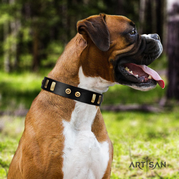 Boxer full grain leather dog collar for fancy walking