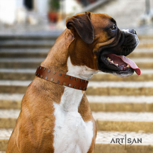 Boxer full grain genuine leather collar with corrosion resistant hardware for comfortable wearing
