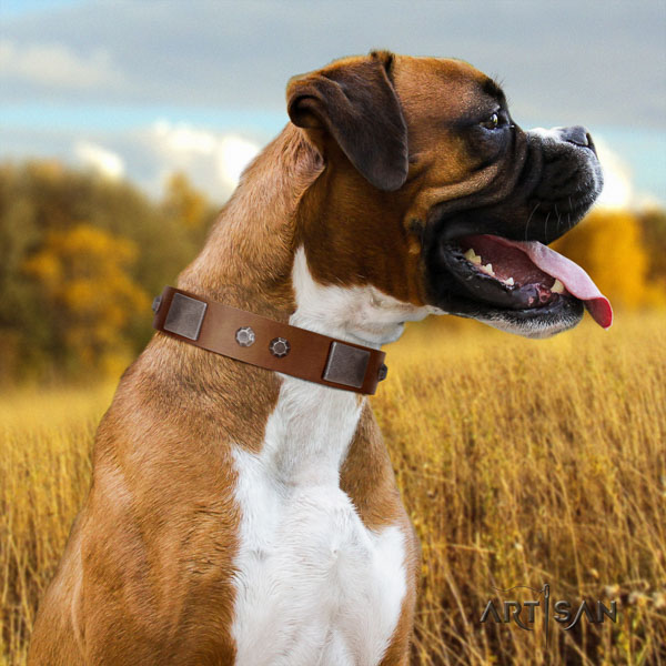Boxer stylish natural genuine leather dog collar with adornments