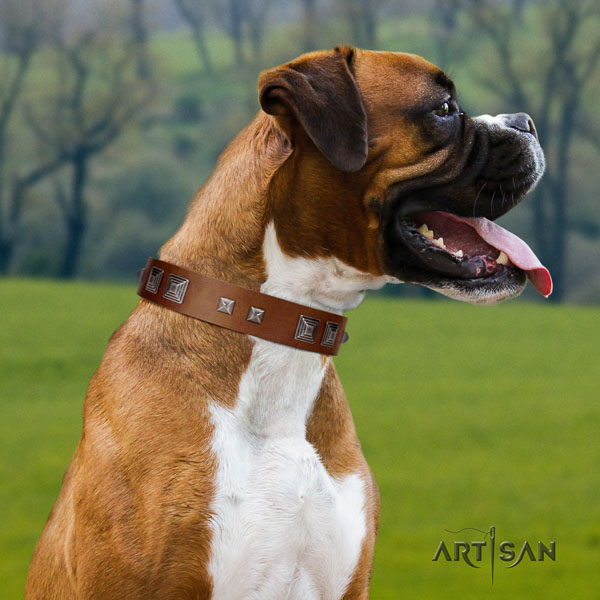 Boxer natural genuine leather dog collar for comfortable wearing