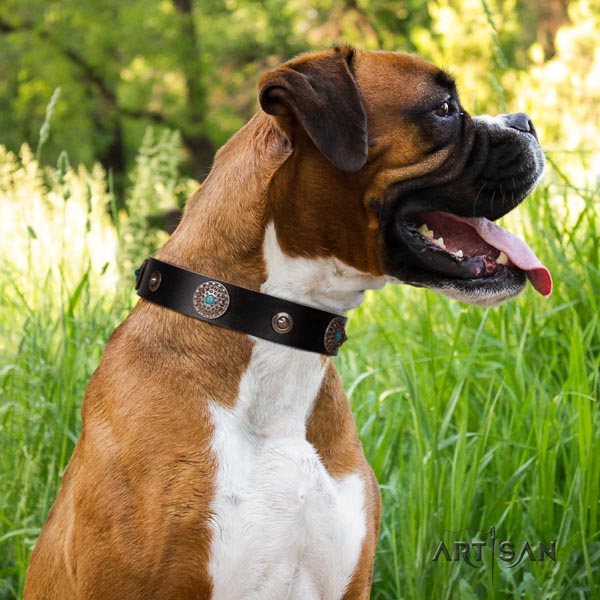 Boxer full grain leather dog collar for daily use