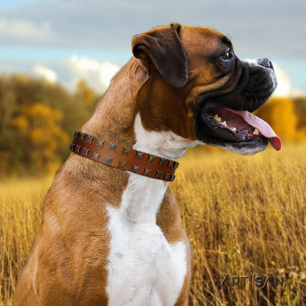 Boxer natural genuine leather collar with rust resistant D-ring for comfy wearing