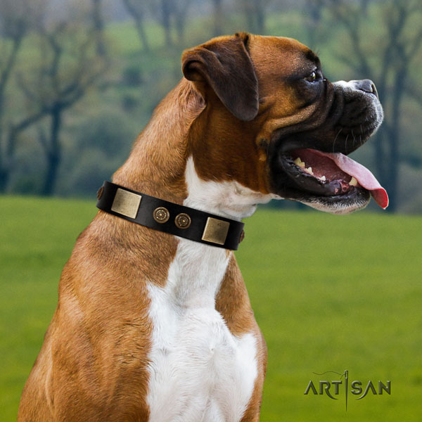 Boxer natural genuine leather collar with rust resistant buckle for easy wearing