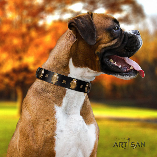 Boxer full grain genuine leather dog collar for everyday walking