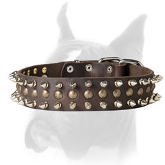 Leather Boxer collar with spikes and studs