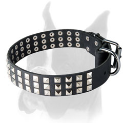 Comfortable collar with D-ring for leash attachment