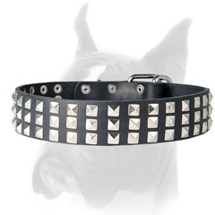 Unique Boxer collar decorated with pypamids