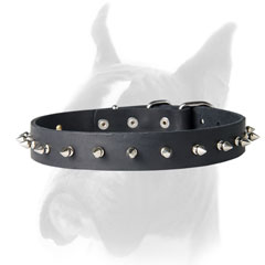 Boxer collar with steel buckle