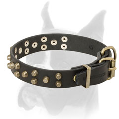 Wide leather Boxer collar with brass hardware