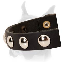 Adjustable leather Boxer collar