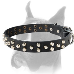 Chic Design Collar for Boxer Dog
