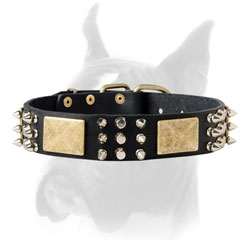 Spiked Collar for your Dog's Style
