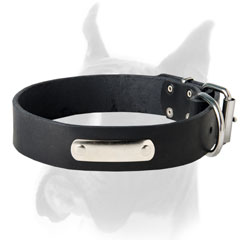 Adjustable Leather Collar for Boxer Dog