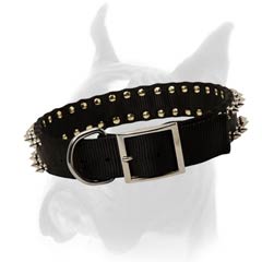 All-weather conditions Collar
