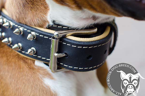 Boxer leather collar adjustable  with riveted hardware for walking