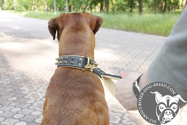 Boxer leather collar with duly riveted brass plated hardware for basic training