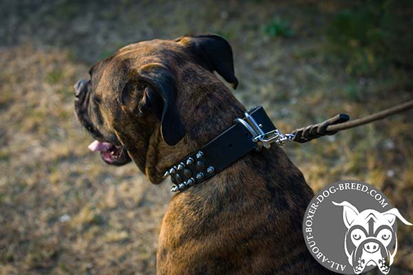 Boxer leather collar easy-to-adjust with d-ring for leash attachment for quality control
